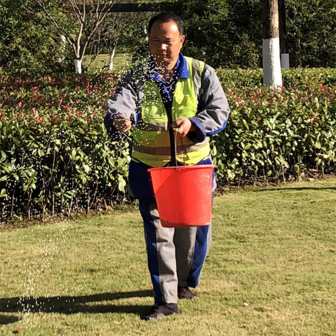 春季绿化养护施肥日常